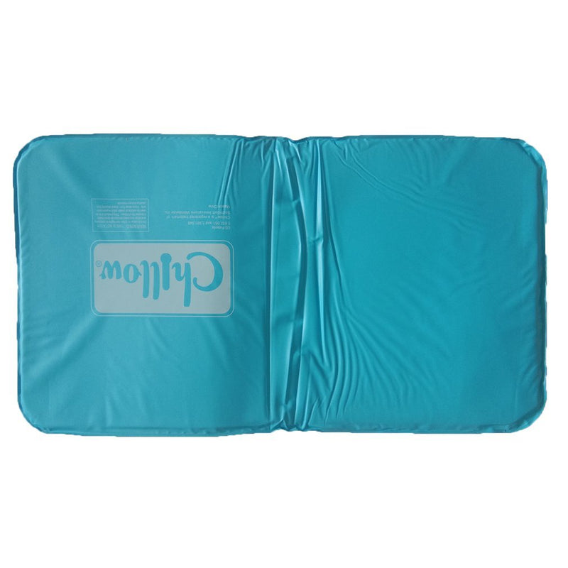 Ice Pillow